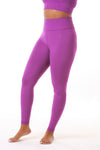 Gia Legging (Seamless)